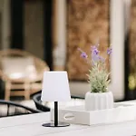 Tiny House Veluwse Vlucht