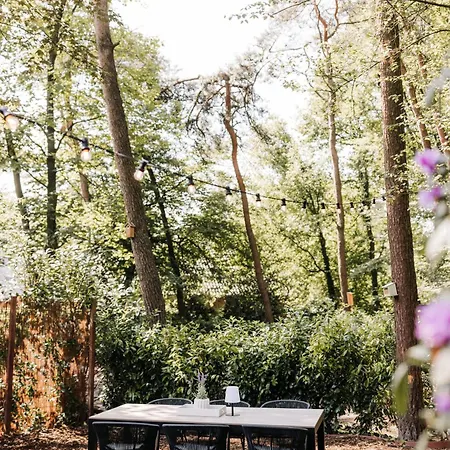 Tiny House Veluwse Vlucht Holiday home Stroe (Gelderland)