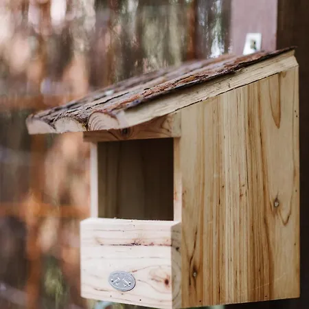 Tiny House Veluwse Vlucht * Stroe (Gelderland)