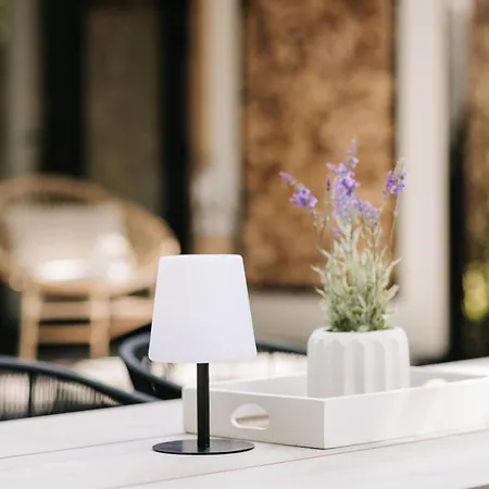 Tiny House Veluwse Vlucht