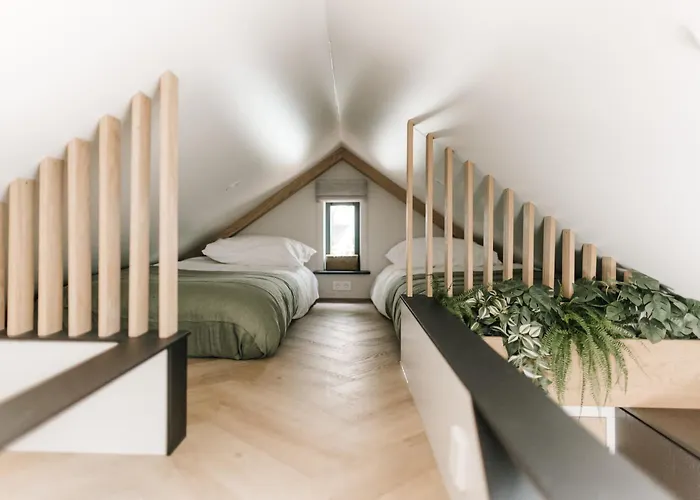 Tiny House Veluwse Vlucht