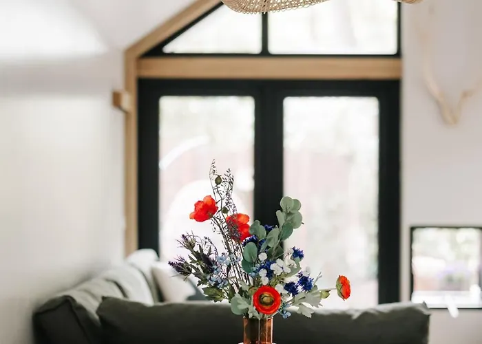 Hébergement de vacances Tiny House Veluwse Vlucht *