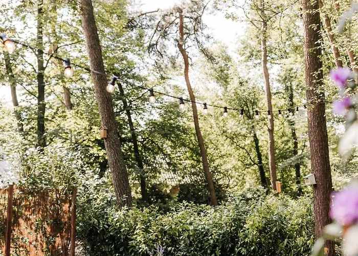 Tiny House Veluwse Vlucht Hébergement de vacances Stroe (Gelderland)