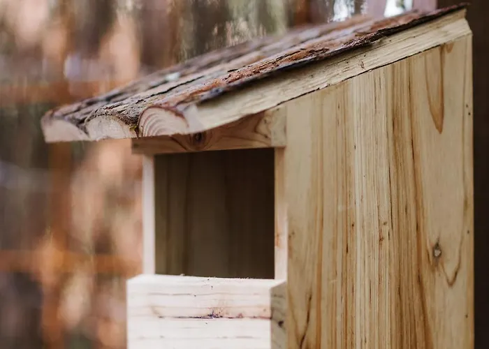Tiny House Veluwse Vlucht * Stroe (Gelderland)
