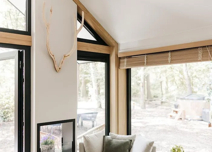 Tiny House Veluwse Vlucht Hébergement de vacances