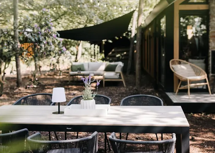 Tiny House Veluwse Vlucht *