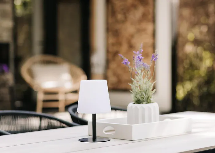 Tiny House Veluwse Vlucht